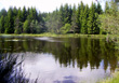 Etang dans la forêt de la Gardille