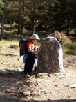 Menhir au dessus de Cauvel